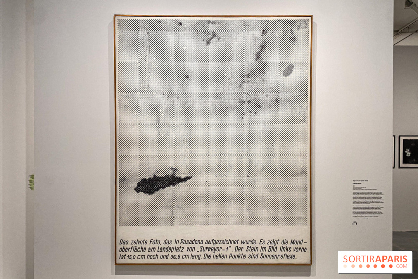 Dans le Flou, l'exposition dans le brouillard au Musée de l'Orangerie - IMG 5294