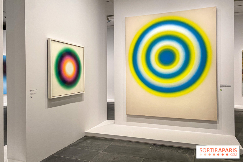 Dans le Flou, l'exposition dans le brouillard au Musée de l'Orangerie - IMG 5299