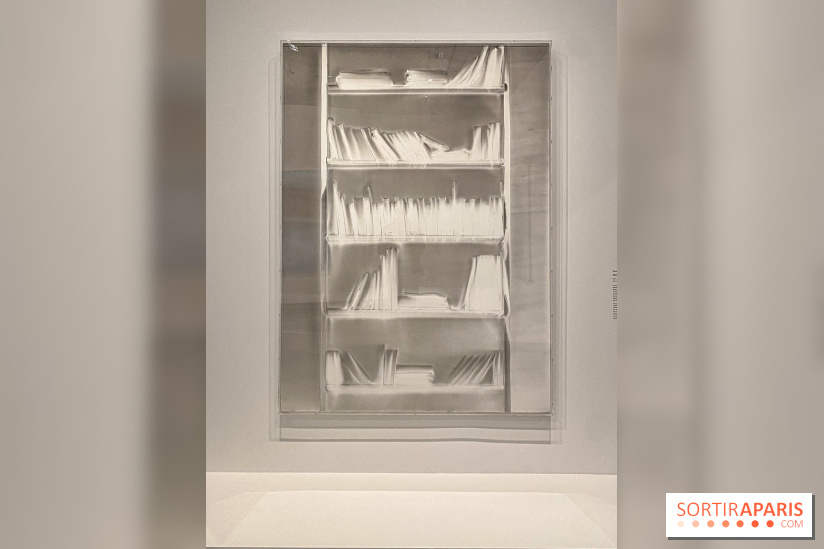 Dans le Flou, l'exposition dans le brouillard au Musée de l'Orangerie - IMG 5301