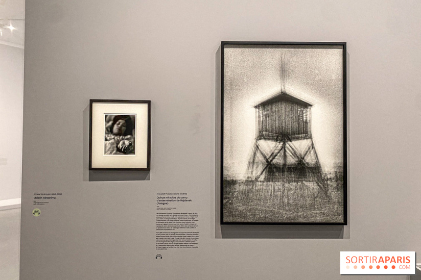 Dans le Flou, l'exposition dans le brouillard au Musée de l'Orangerie - IMG 5302