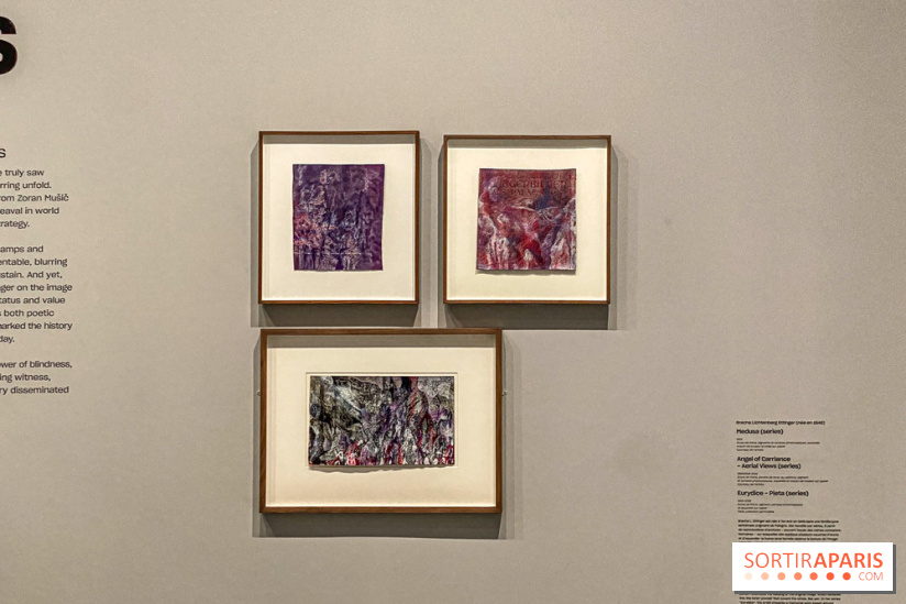 Dans le Flou, l'exposition dans le brouillard au Musée de l'Orangerie - IMG 5303