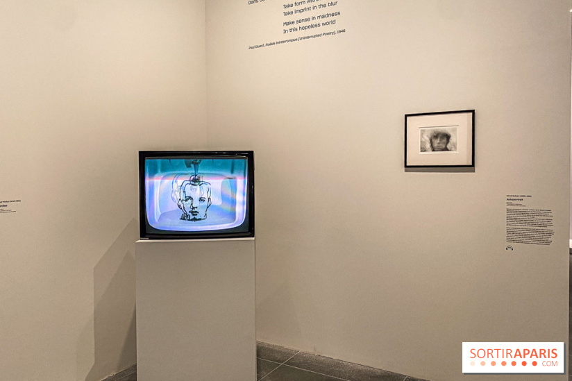 Dans le Flou, l'exposition dans le brouillard au Musée de l'Orangerie - IMG 5306