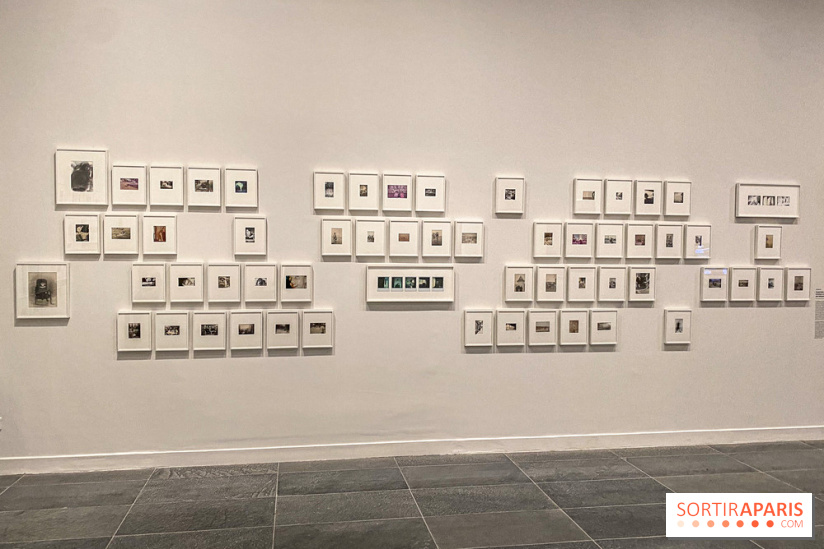 Dans le Flou, l'exposition dans le brouillard au Musée de l'Orangerie - IMG 5308