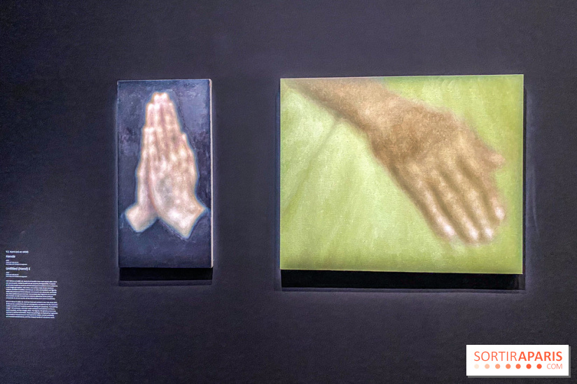 Dans le Flou, l'exposition dans le brouillard au Musée de l'Orangerie - IMG 5311