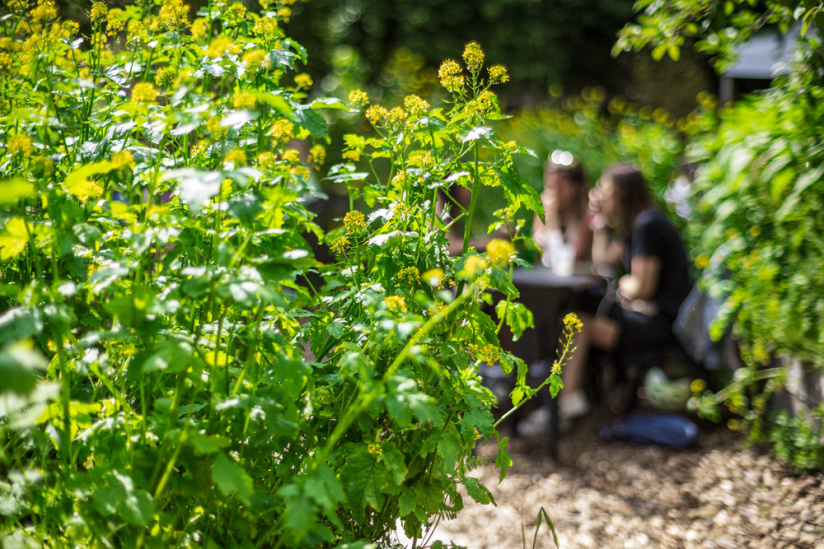 Campagne #1223 - Jardin21 LevietPhoto 062024 1798