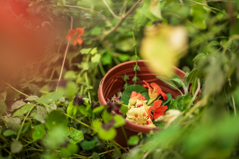 Campagne #1223 - Jardin21 Ateliers LevietPhoto 072025 2784