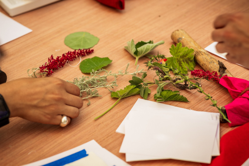 Campagne #1223 - Jardin21 Ateliers LevietPhoto 072025 2993