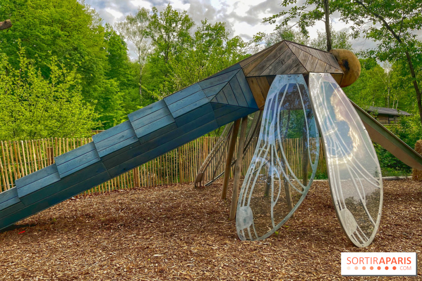 Mission Forêt - IMG 2144