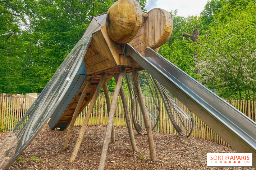 Mission Forêt - IMG 2145