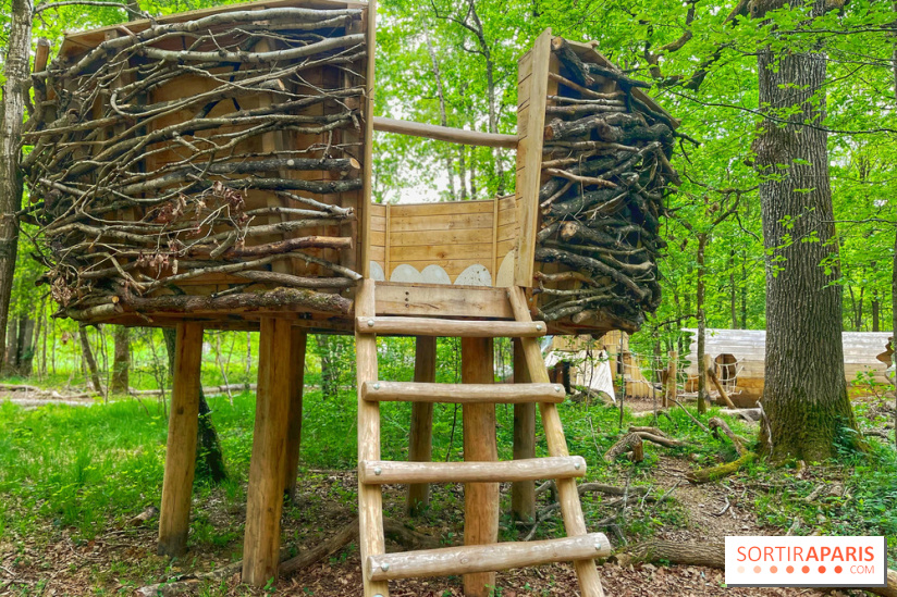 Mission Forêt