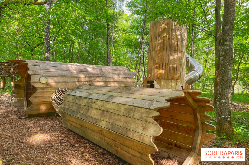 Mission Forêt - IMG 2153