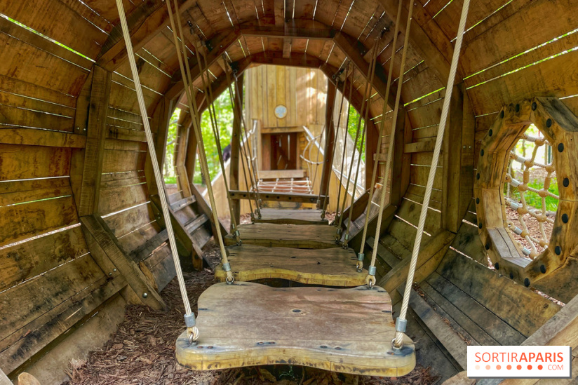 Mission Forêt - IMG 2154