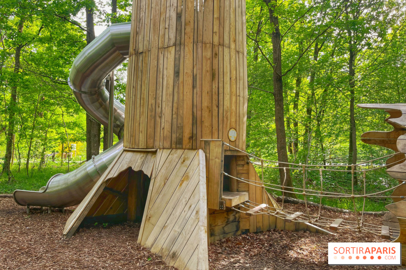 Mission Forêt - IMG 2155