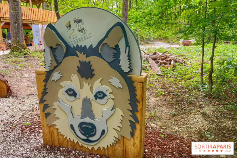 La Forêt des Loups