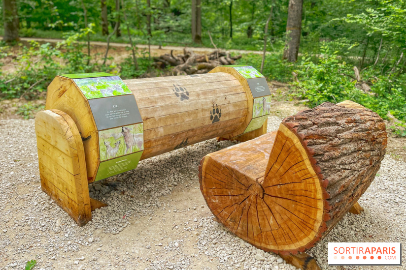 La Forêt des Loups - IMG 2098