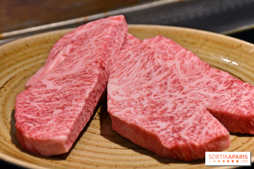 Ayako Paris, le restaurant pour les amoureux du Teppanyaki - Fotor