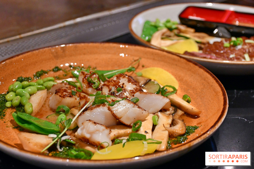 Ayako Paris, le restaurant pour les amoureux du Teppanyaki - Fotor