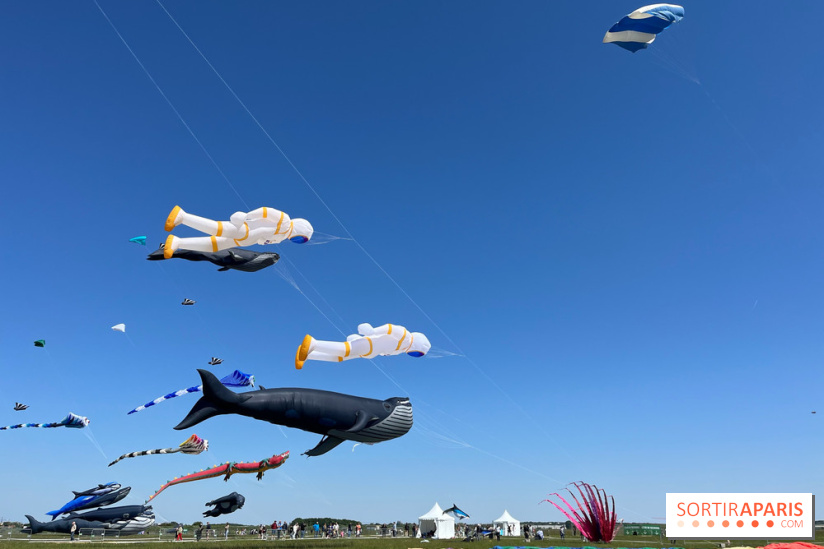 Festival de Cerfs-Volants à la Base 217