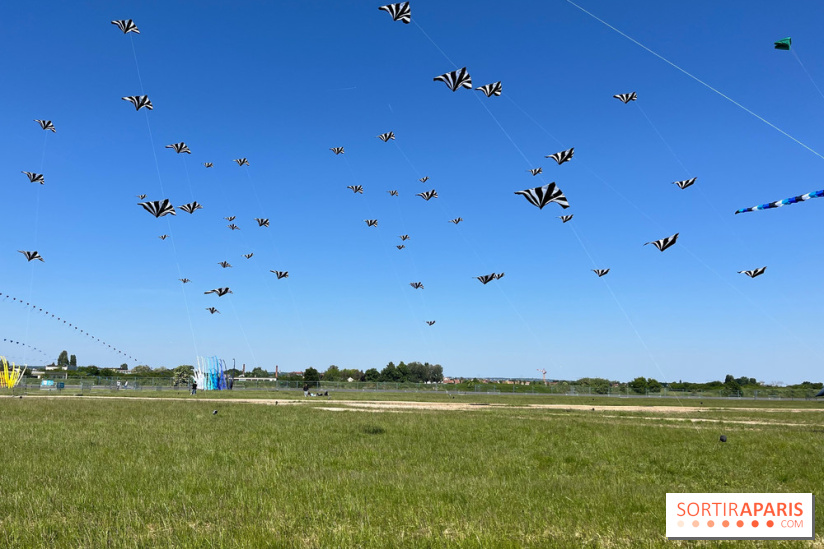 Festival de Cerfs-Volants à la Base 217 - IMG 2189