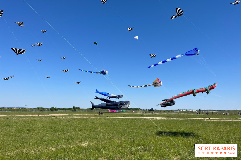 Festival de Cerfs-Volants à la Base 217