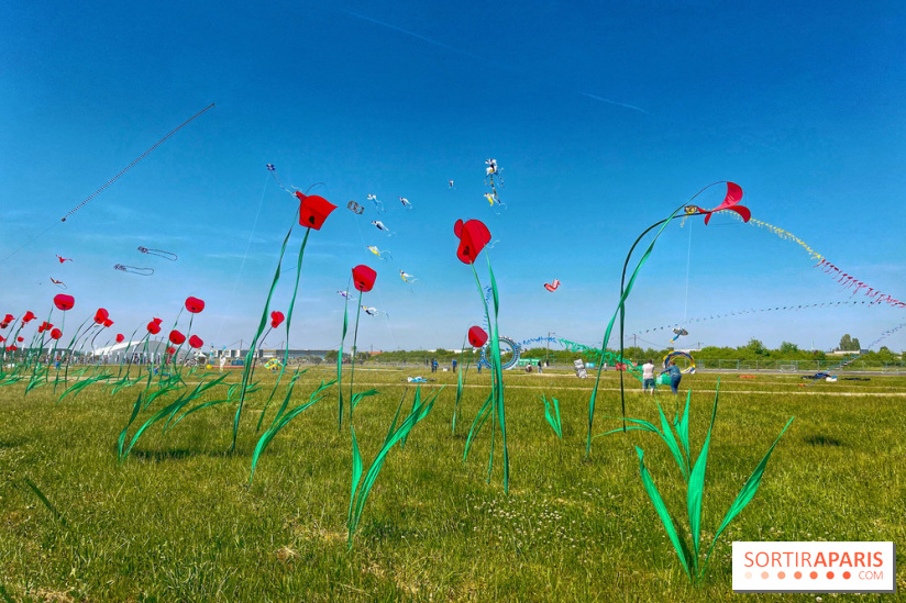 Festival de Cerfs-Volants à la Base 217