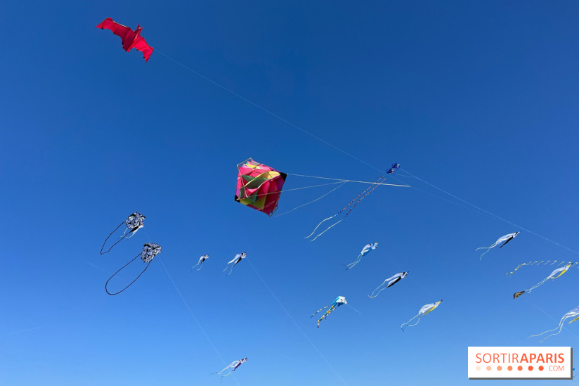 Festival de Cerfs-Volants à la Base 217 - IMG 2196