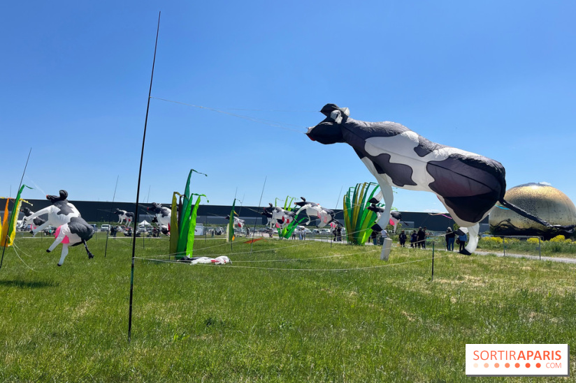 Festival de Cerfs-Volants à la Base 217 - IMG 2197