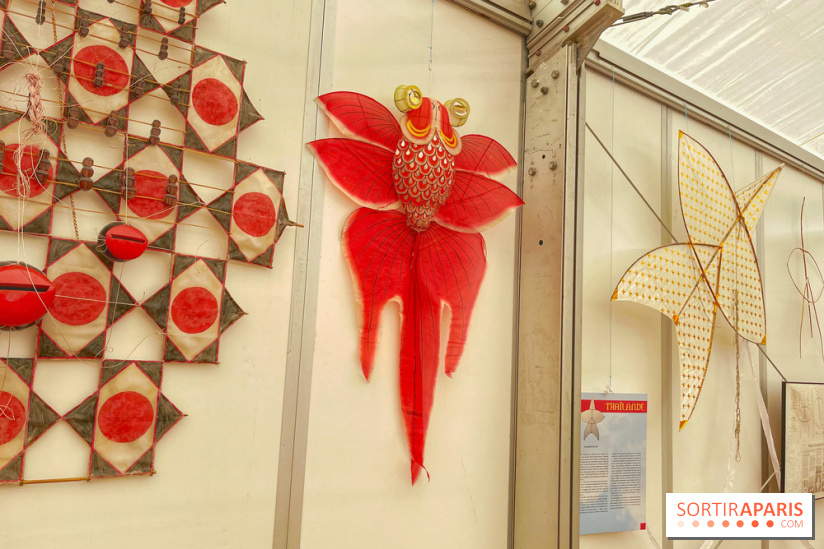 Festival de Cerfs-Volants à la Base 217 - IMG 2198