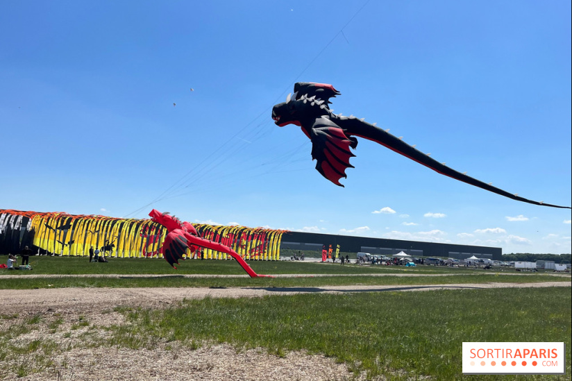 Festival de Cerfs-Volants à la Base 217 - IMG 2209