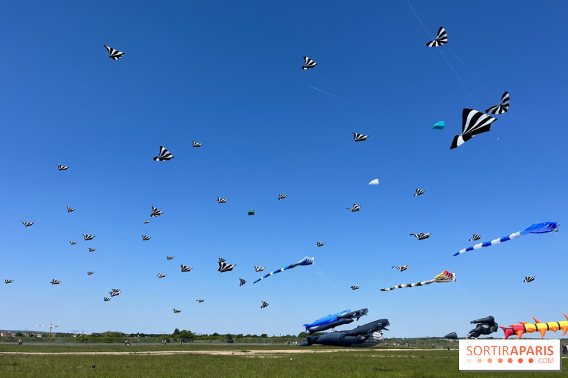 Festival de Cerfs-Volants à la Base 217