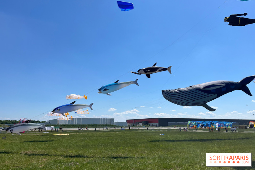 Festival de Cerfs-Volants à la Base 217 - IMG 2215