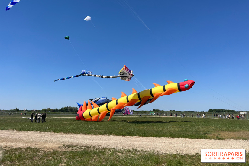 Festival de Cerfs-Volants à la Base 217