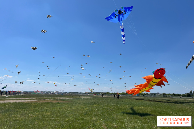 Festival de Cerfs-Volants à la Base 217