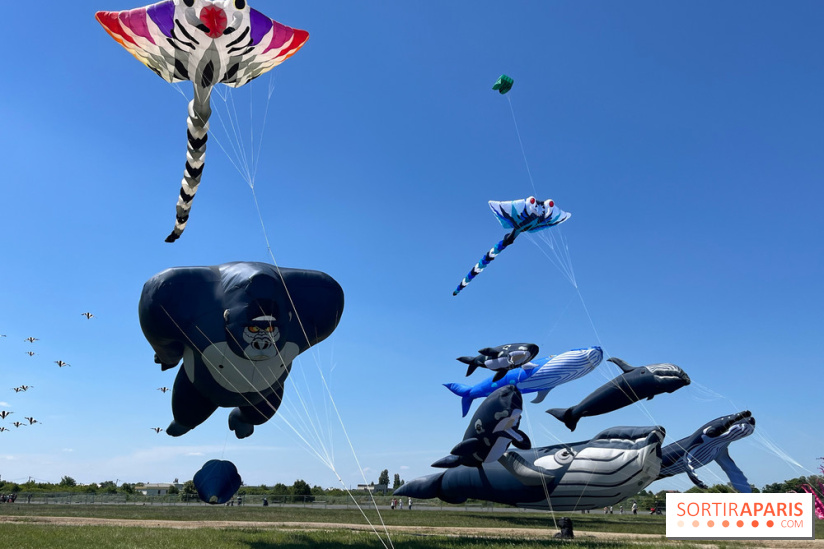 Festival de Cerfs-Volants à la Base 217