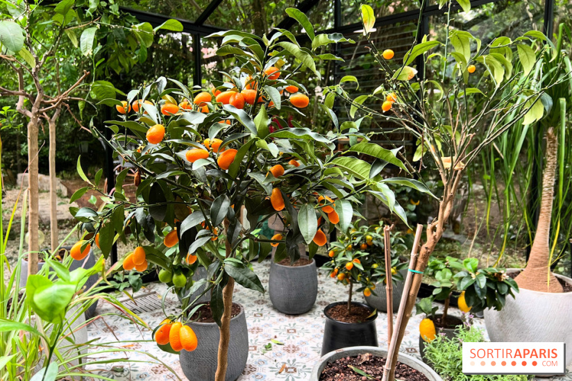 Villa9Trois - Orangerie