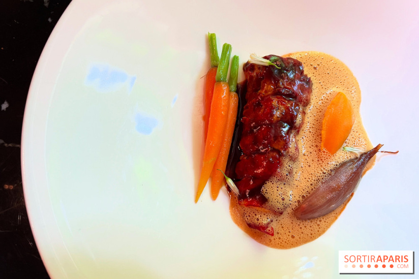 Villa9Trois - Homard, romarin, carottes