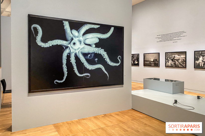 Jean Gaumy et la Mer : l'exposition maritime intimiste au Musée de la Marine - IMG 5473