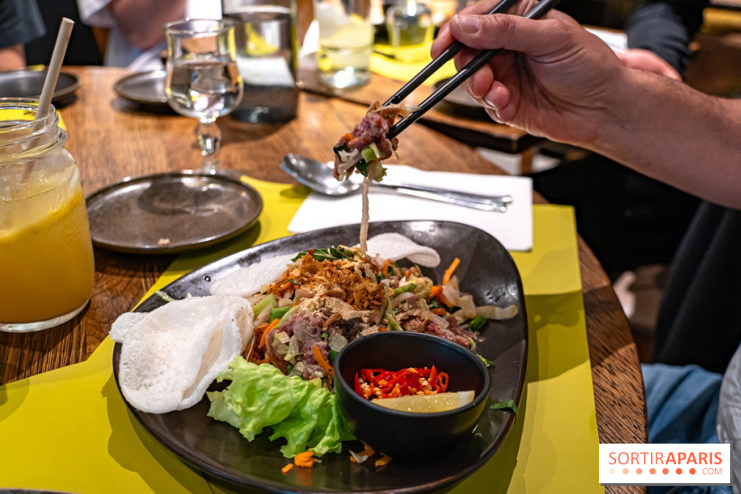 Comme au Vietnam, restaurant vietnamien Paris 13e - salade de boeuf