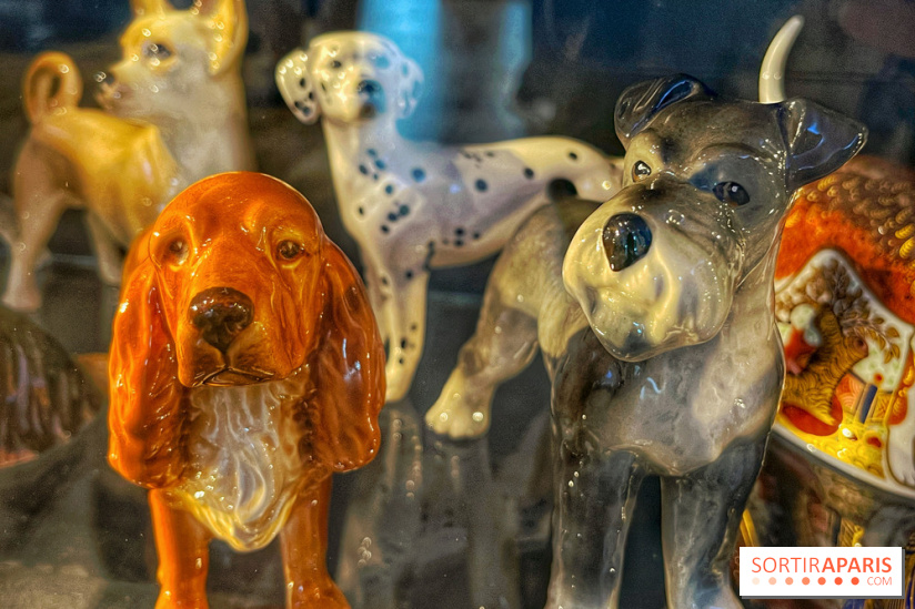 Collection dédié aux chiens