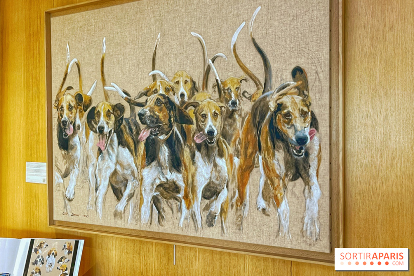 Collection dédié aux chiens - IMG 2314