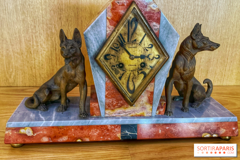 Collection dédié aux chiens
