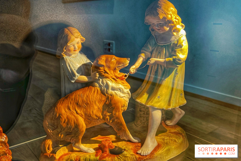 Collection dédié aux chiens