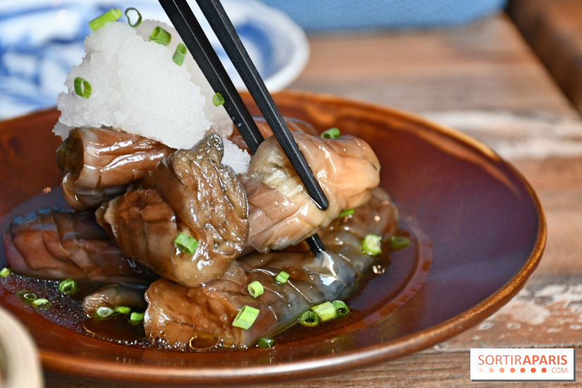 Wadon Izakaya, le restaurant japonais avec un menu Omakase gourmand à Paris - DSC 4075 Fotor