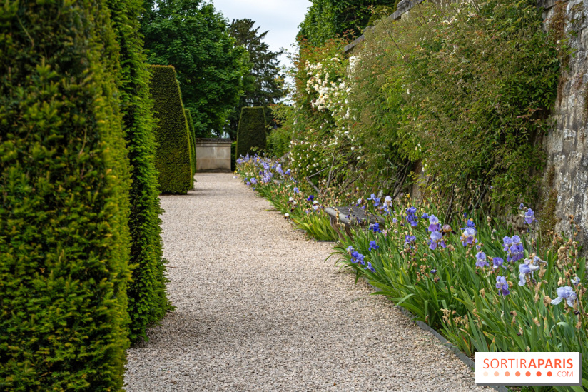 Exposition Van Gogh, les derniers voyages - photos - A7C08679