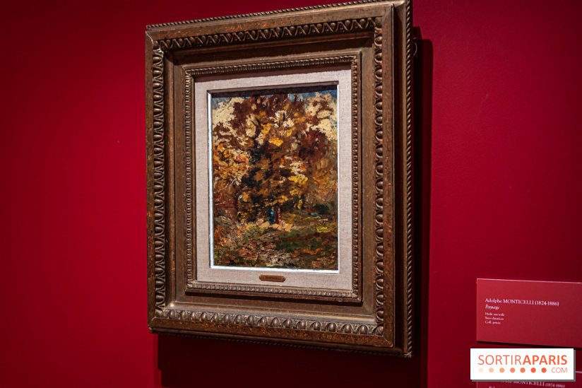 Exposition Van Gogh, les derniers voyages - photos - A7C08719