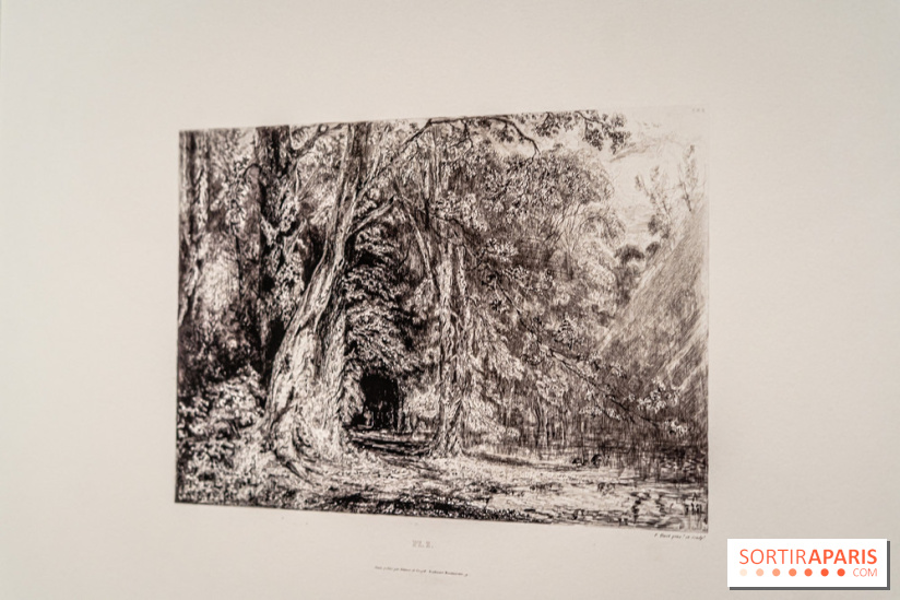 Exposition Van Gogh, les derniers voyages - photos - A7C08724