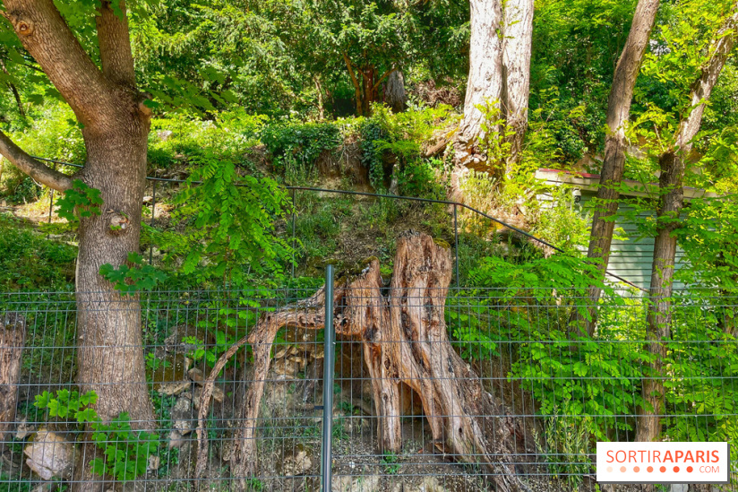 Encore plus d'Auvers-sur-Oise - IMG 2399