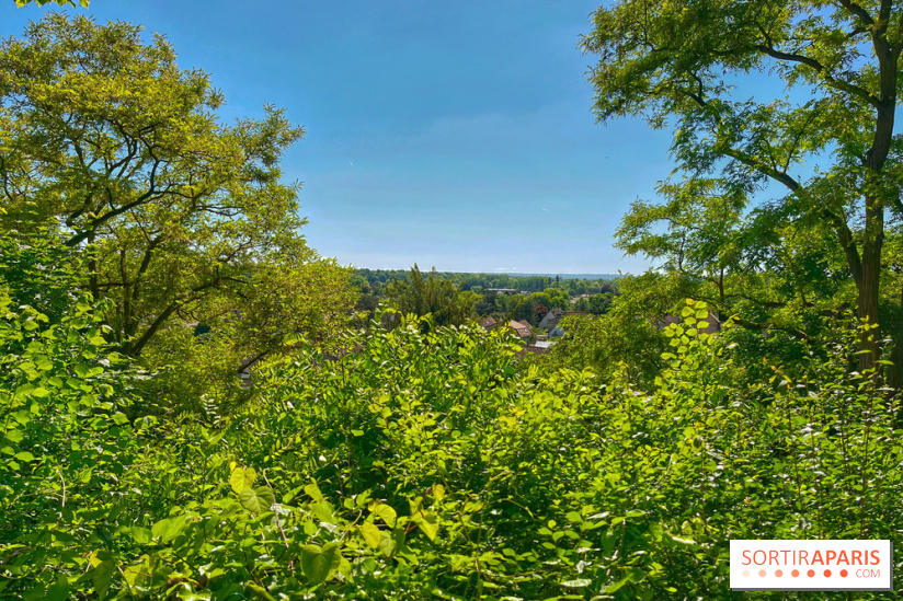 Encore plus d'Auvers-sur-Oise - IMG 2403