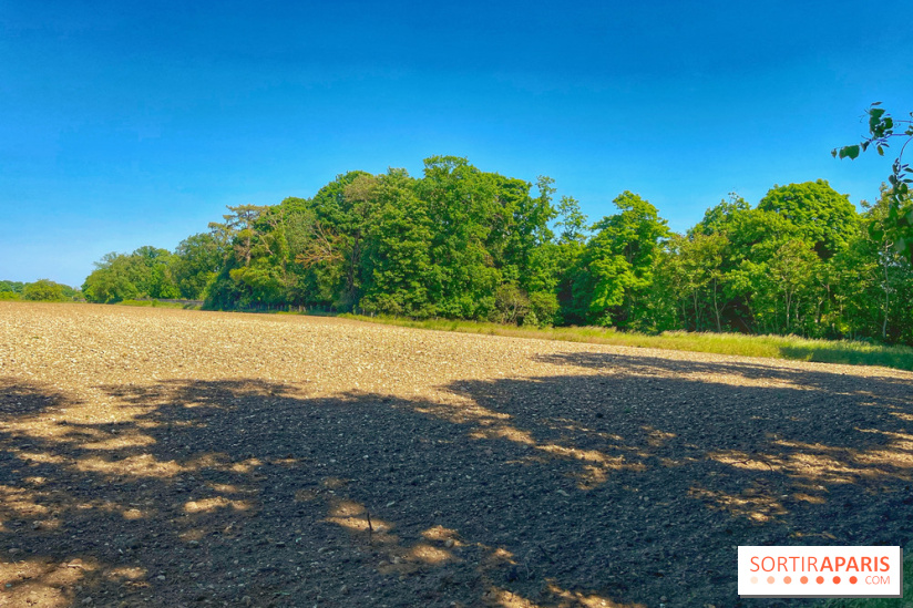 Encore plus d'Auvers-sur-Oise - IMG 2404