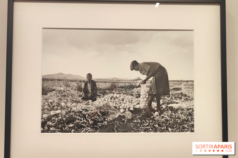 Marie-Laure de Decker exposition MEP - fotor 1748953185853